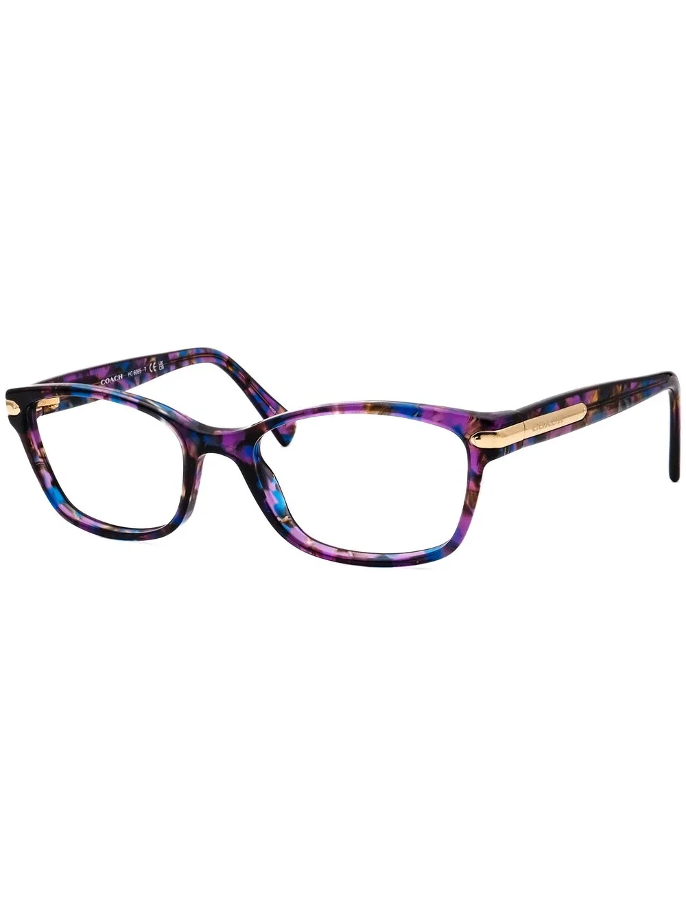 Coach HC 6065 5288 Eyewear